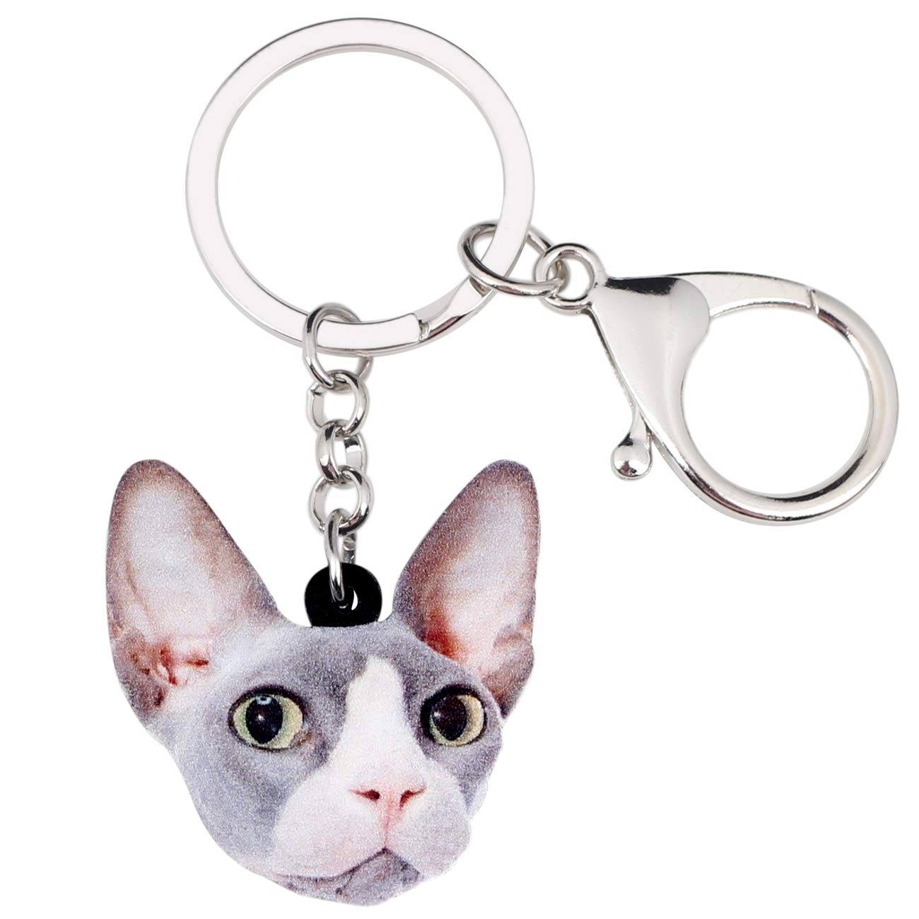 WEVENI Acrylic Canadian Hairless Cat Keychain Sphynx Jewelry For Women Girls Car Bag Wallet