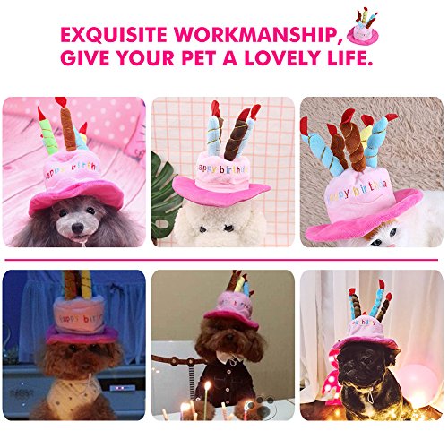 Chapéu de festa de aniversário Fdit Pet, chapéu de gato com velas coloridas, chapéu de festa com bol
