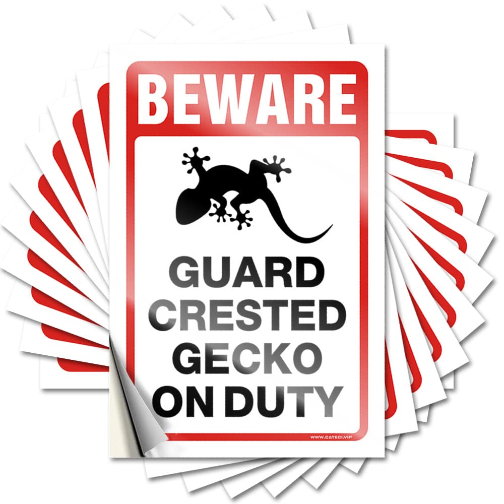 Decals Kitchen Decorations | Core Water Beware! Guard Crested Gecko On Duty for Spring(6X9CM)