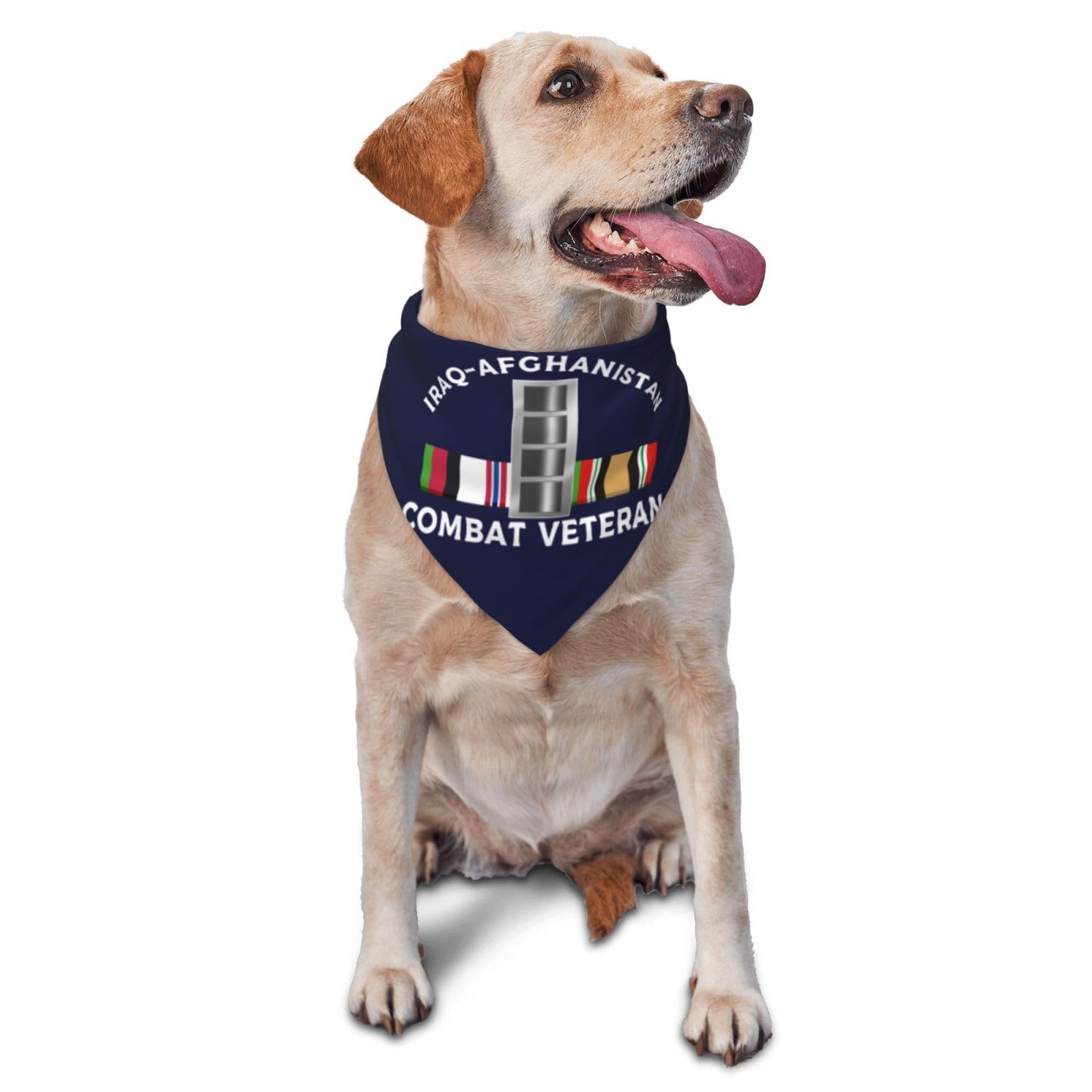 US Army W-4 Chief Warrant Officer 4 W4 CW4 Iraq-Afghanistan Combat Veteran Dog Scarf Pet Bandana Cat Pet Bibs
