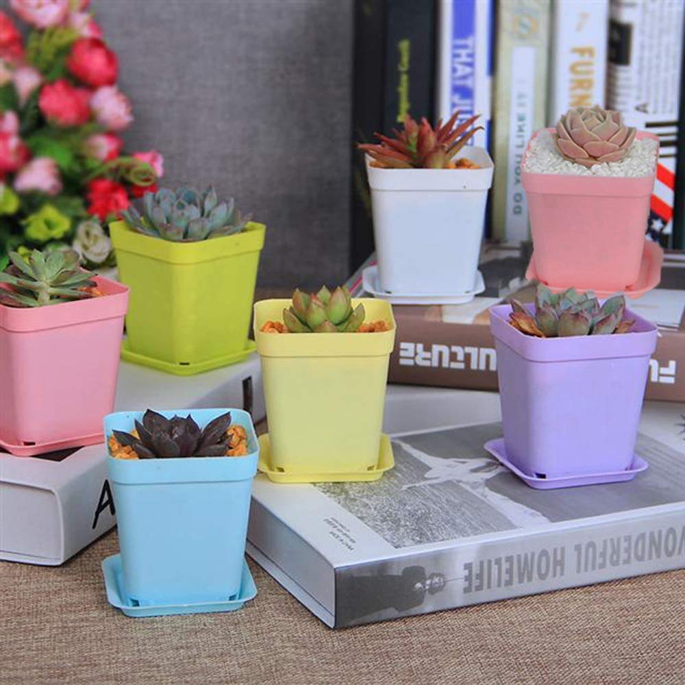341999_5