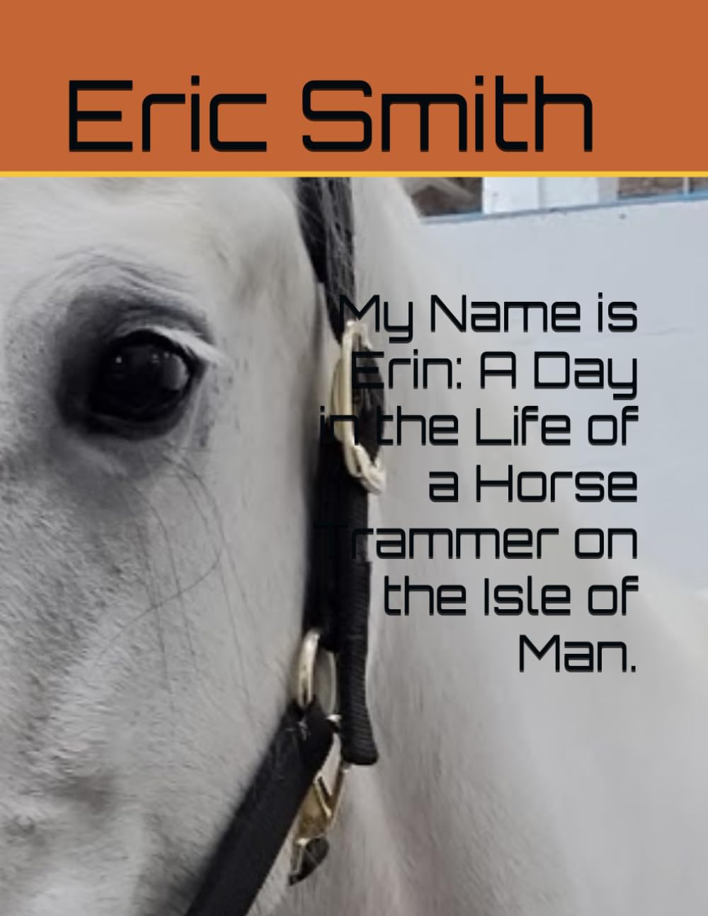 My Name is Erin: A Day in the Life of a Horse Trammer on the Isle of Man.