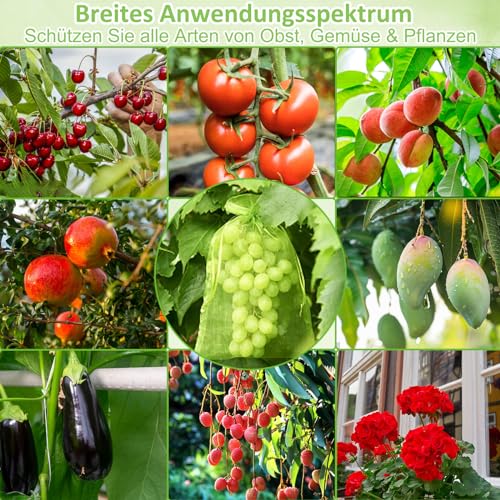 100 Traubenschutzbeutel 20x30cm - Schutz Vor Wespen & Vögeln Im Garten