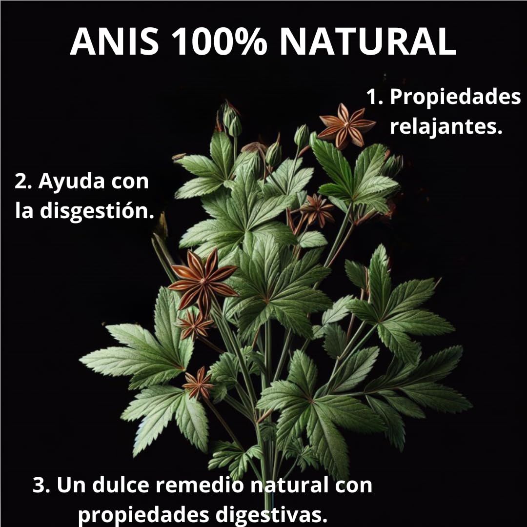 ANIS VERDE - Anis Estrellado - Anis Estrellado Entero - Anis en Grano - Anis - Anís - Estrellas de Anis - Anise - Grano de Anis - Te de Anis Verde - Anis en Granel - Infusiones Anis - Anis a Granel.