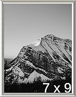 Vista 269 de Frame It Easy Marco de metal rojo de 24 x 36 pulgadas (Hanover)