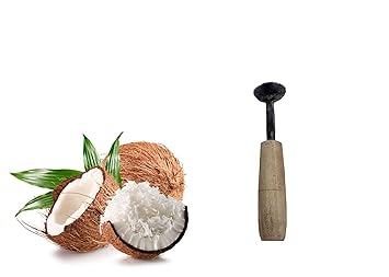 Coconut Scrapper Grater for Kitchen Use Iron Peeler and Wood Handler