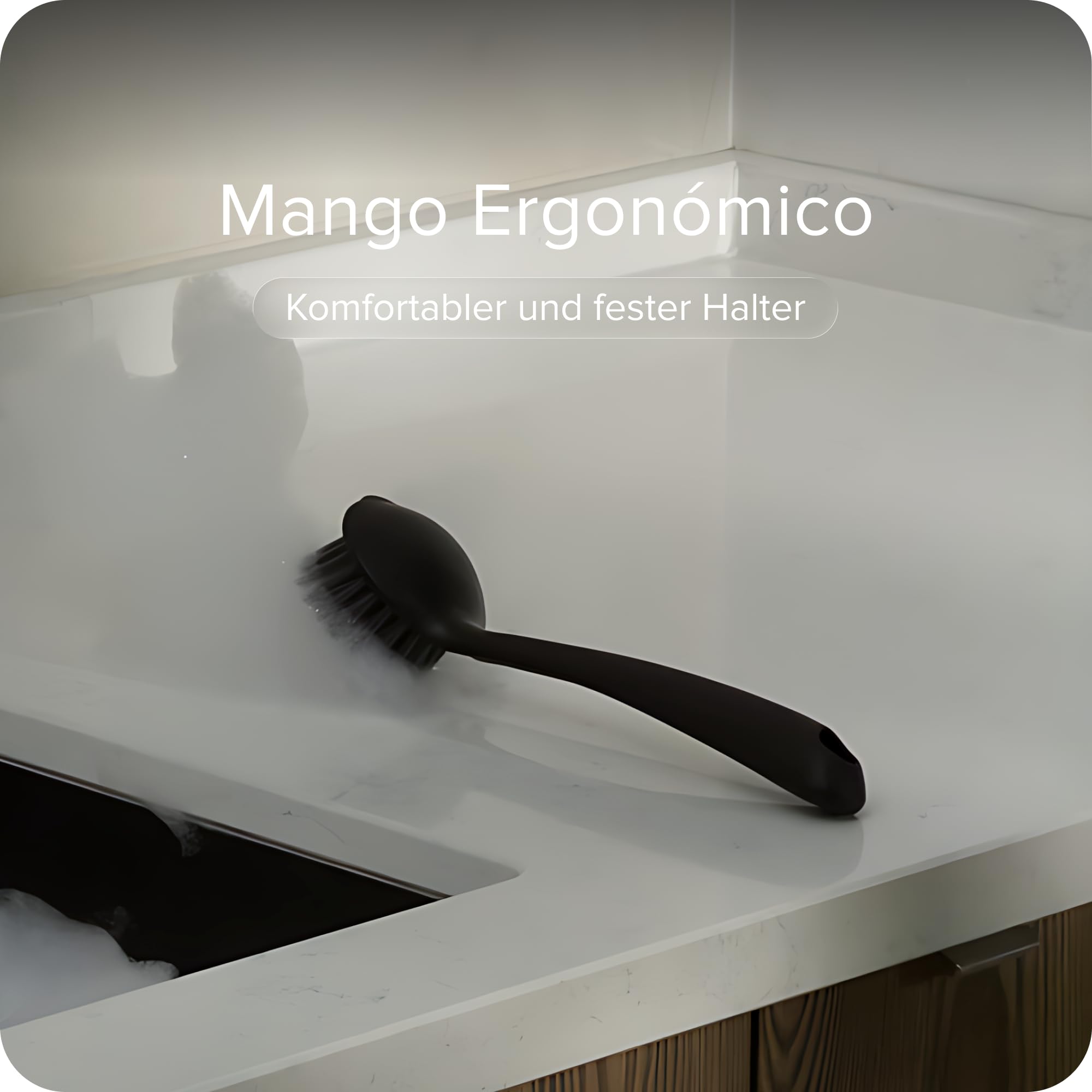 Cepillo Cocina Set de 2 Antibacteria Cerdas Duras Negro