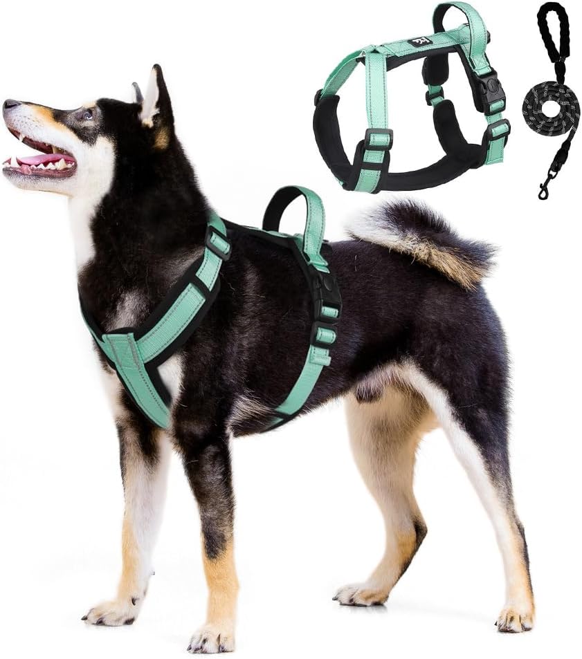 GOLEYGO Correa Para Perros Plana, Reflectante, Tamaño M 1,4 – 2 M, Cierre Magnético Seguro, Incluye Pin Adaptador, Correa Para Perros Pequeños Y Grandes Hasta 60 Kg, Carga Máxima 200 Kg
