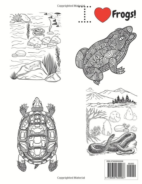 Miniatura 2 de Scaly Critters Coloring Book For All Ages (Relaxation and large designs) 71 pages of reptiles ideal for adults, teens, and kids