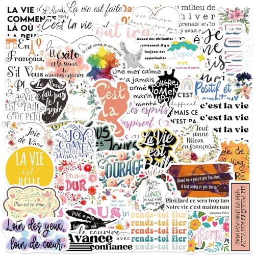 50pcs French Inspirational Stickers for Kids Teens Adults,Motivational French Reminder Decals Positive Note Sticker for Laptop Water Bottles Scrapbook Journal (Inspirational)