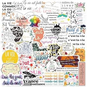50 calcomanías inspiradoras francesas para adolescentes y adultos, calcomanías de recordatorio motivacional, calcomanías de nota positiva para botellas de agua, álbumes de recortes, diario (inspirador