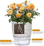 Self Watering Planters for Indoor Plants, 3 Pack 6 Inch African Violet Pots | Modern Decorative Flower Pots with Transparent Water Reservoir, Perfect for Indoor House Plants, Flowers (White)