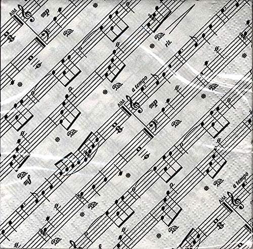 Napkins: 2-Ply Beverage Napkins - Notation Design - Pack Of 20