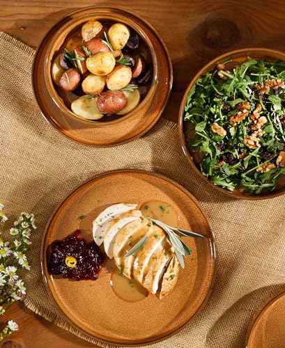 Oprahs-Favorite-Things-Santorini-Mist-Double-Bowl-Terracotta-Reactive-Glaze-Plates-and-Bowls-Dinnerware-Set-Amber-Service-for-Four-16pcs