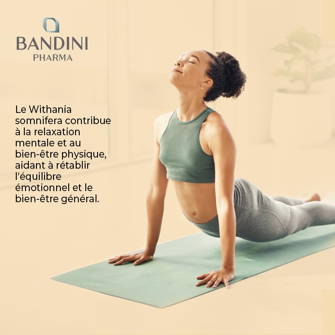 Bandini® Ashwagandha BIO KSM-66® Extra Fort - 500mg par dose, 5% de witanolides - 180 Gélules pour 6 mois - Poudre de Withania Somnifera 100% Végane - Bien-Être Physique & Mental, Tonus, Concentration