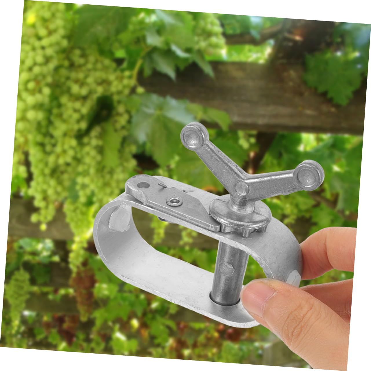 Tenditore per Cavo in Acciaio 8 Pezzi A3 Argento per Serra | Regolazione Facile, Design Versatile, Servizio Duraturo, per Vite e Alberi da Frutto, Uso in Piscina