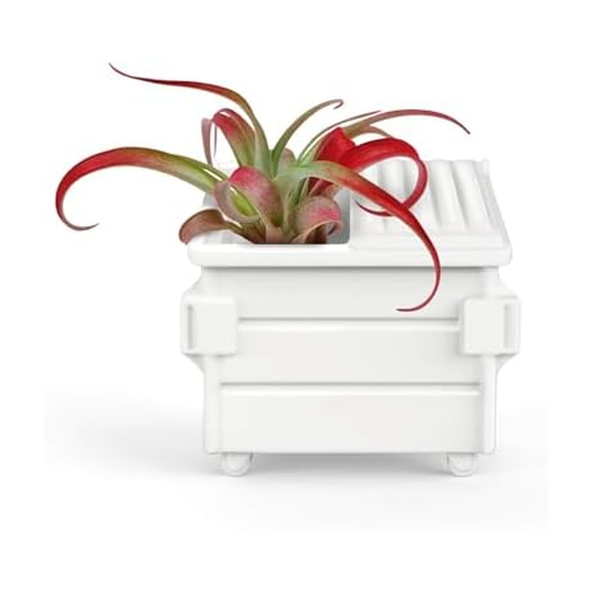 Genuine Fred Fancy Plants Air Plant Holder, Dumpster (5280962)