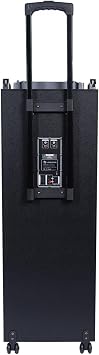 Generic Longstar LP-FY212 2x 12