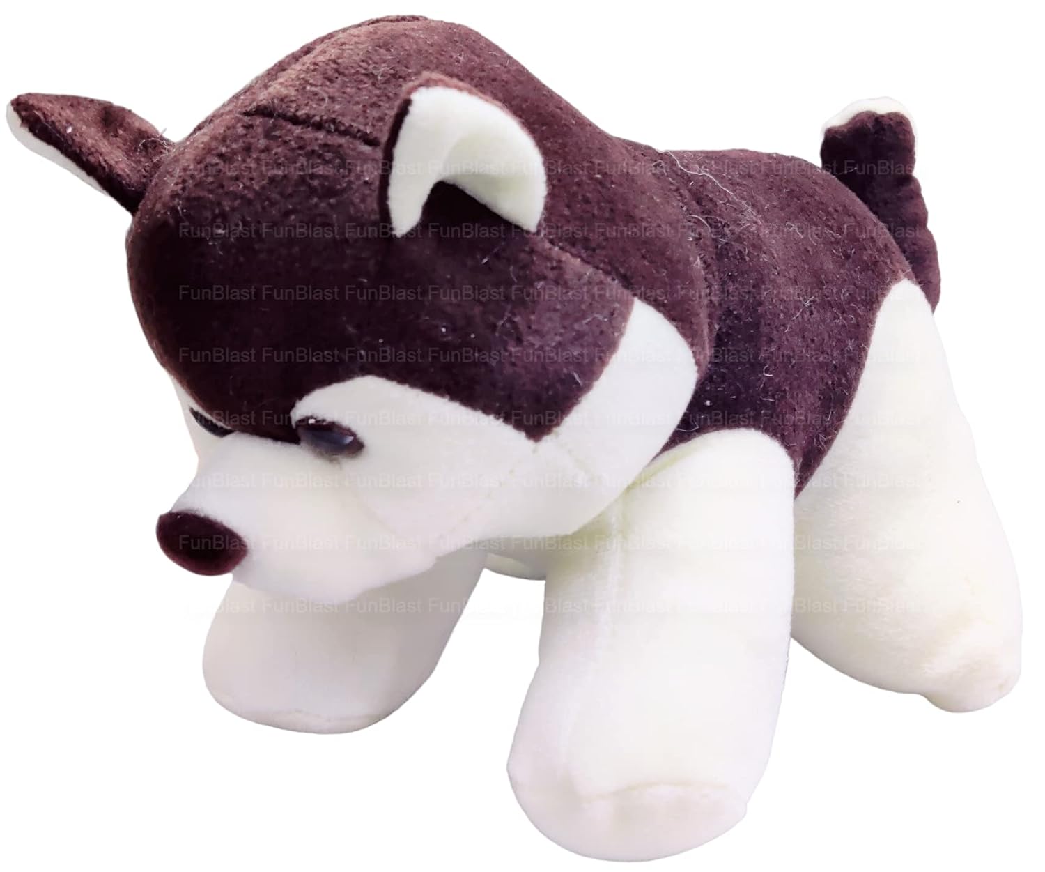 Buy FunBlast Husky Dog Soft Toy Stuffed Puppy Toys for Kids, Dog Soft