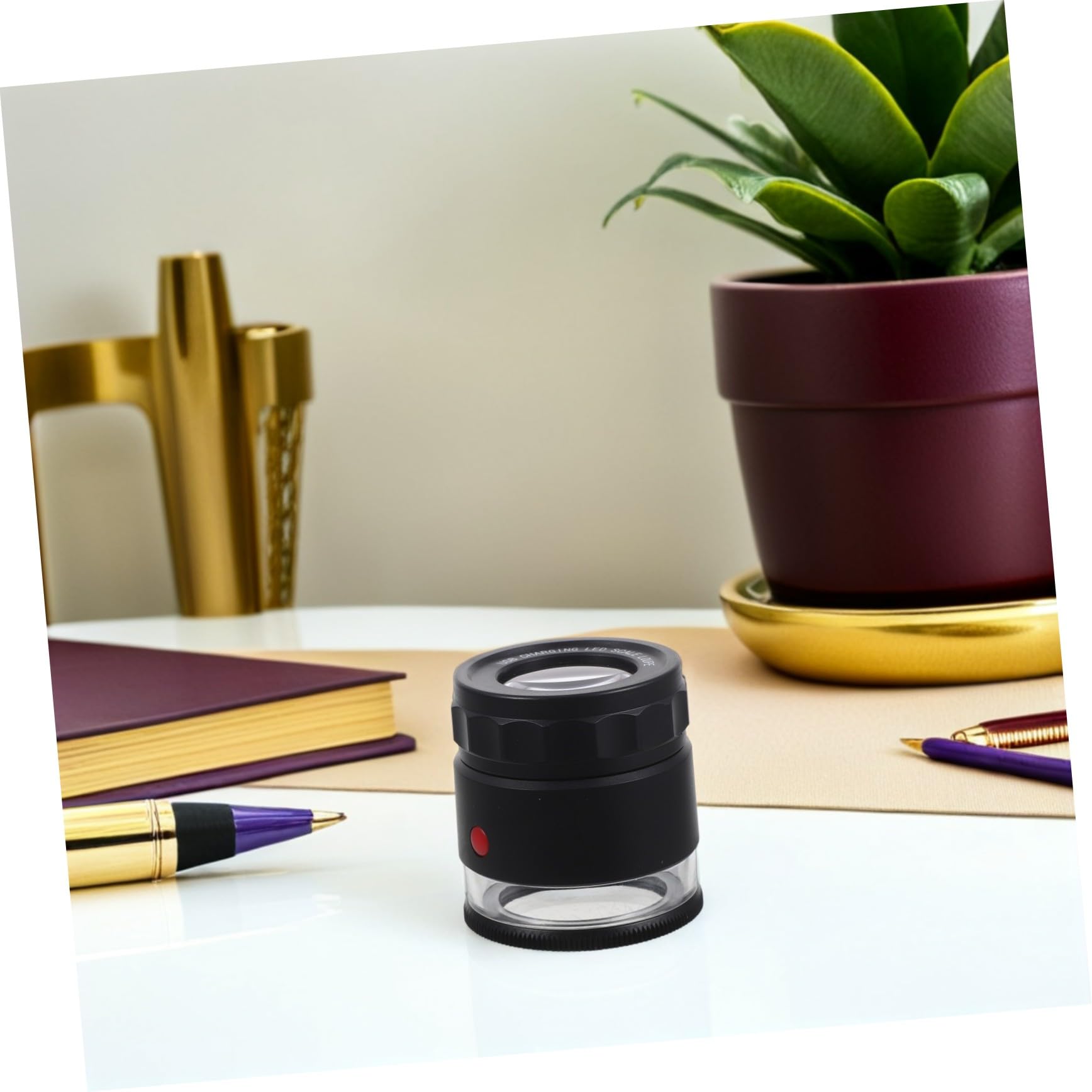 Veemoon Loupe de Bijoutier avec Échelle et Lumière LED Outil Inspection pour Monnaie et Timbres