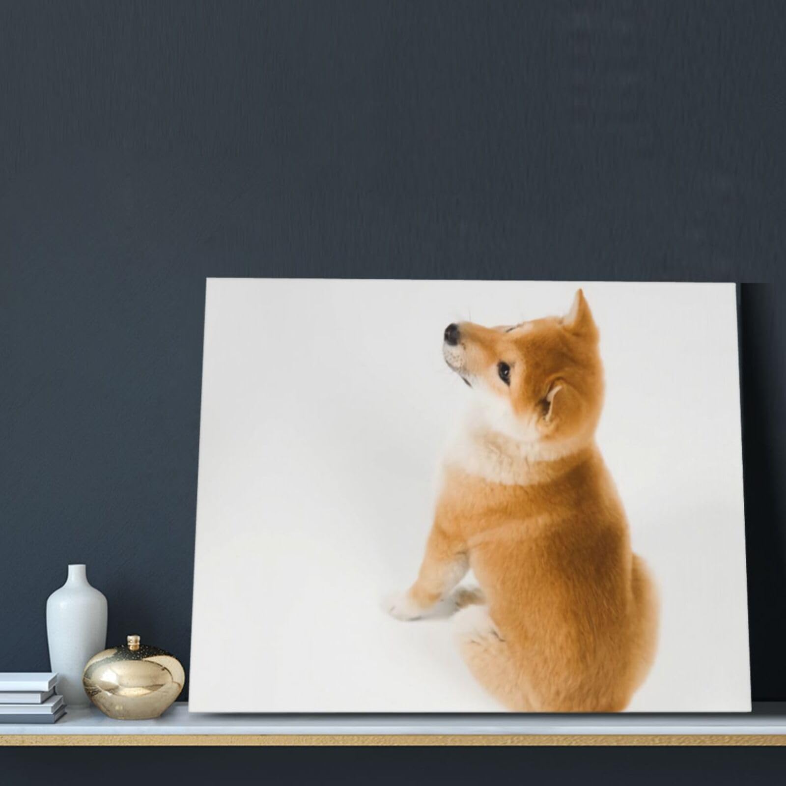 Amazon.co.jp: Chioee 絵画 インテリア 柴犬 可愛い 犬柄