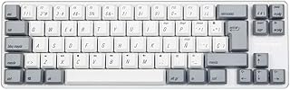 Qisan Mechanical Gaming Keyboard PBT Keycps 69 Keys Gateron Brown Switch White Backlit ES Layout Gaming Keyboard-White Gray Combo（Spanish Version）