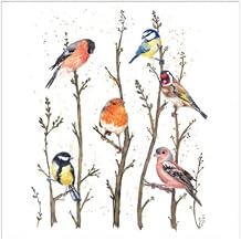 Woodmansterne Artistic Blank Card From British Garden Birds on Branches - Watercolour Illustration By Maria Belen Galizzi - Suitable For Birthdays And Other Occasions