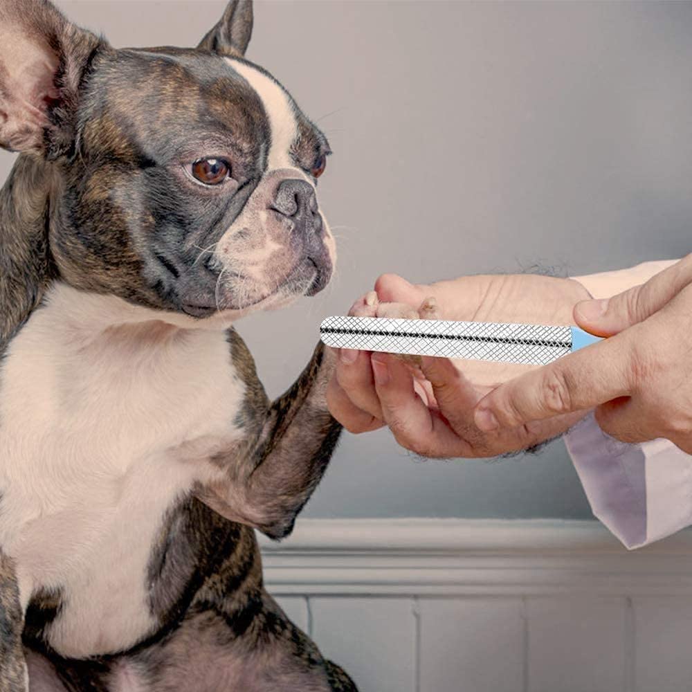 Molinillo de Clavo para Perros - Potente Pet Pet Nail Trimmer Profesional Tranquilo Patas indoloras Aseo y alisado para pequeños Perros Grandes y Gatos Recargables portátiles