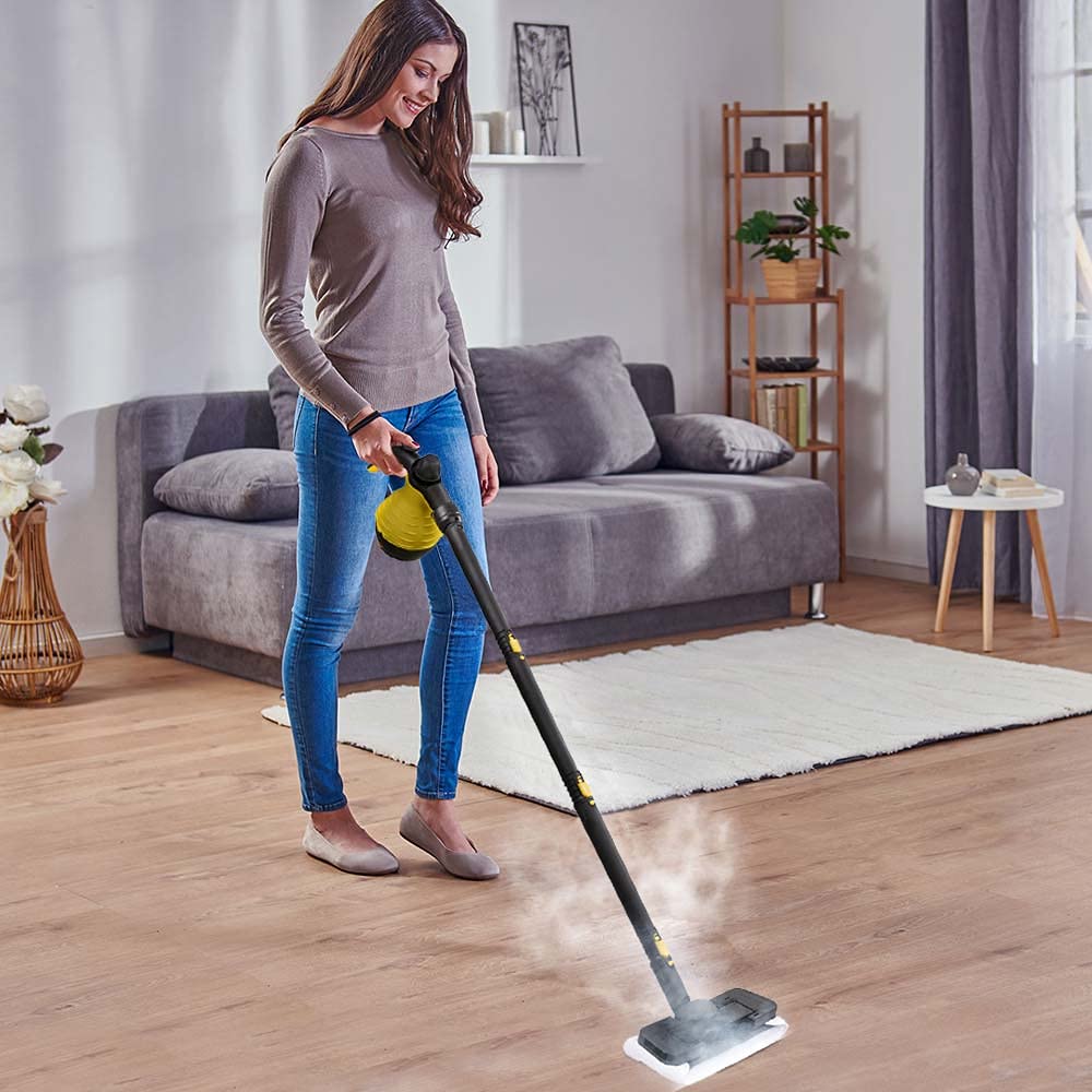 Alpina stoomreiniger 1050 watt aanbieding bij Dirk