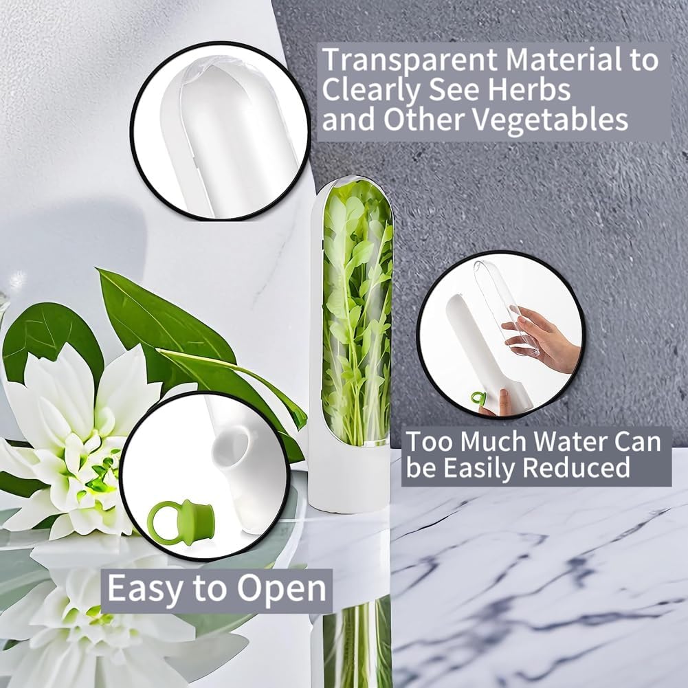 Pack of 3 Fridge Organiser, Storage Container for Freshest Products, Food Storage Container for Fridge, Herb Storage for Coriander, Parsley, Asparagus image 2