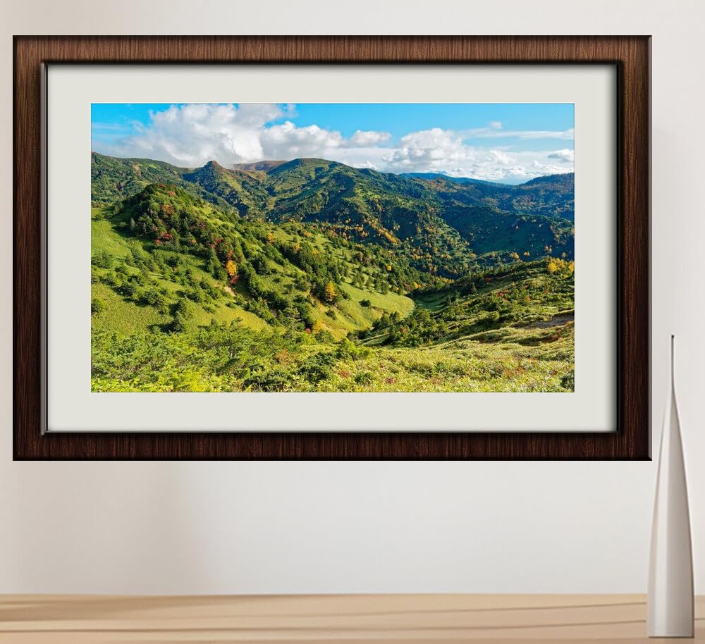 JVERF - JZZI23801 Japan Yoshigadaira Valley Nagano Hill Trees Grass| Self-Adhesive Painting | Frameless
