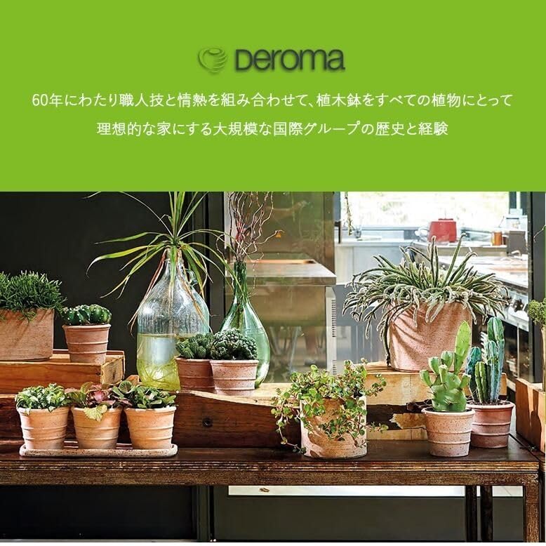 Amazon.co.jp: deroma デロマ エッグポット 12号 受皿付 テラコッタ