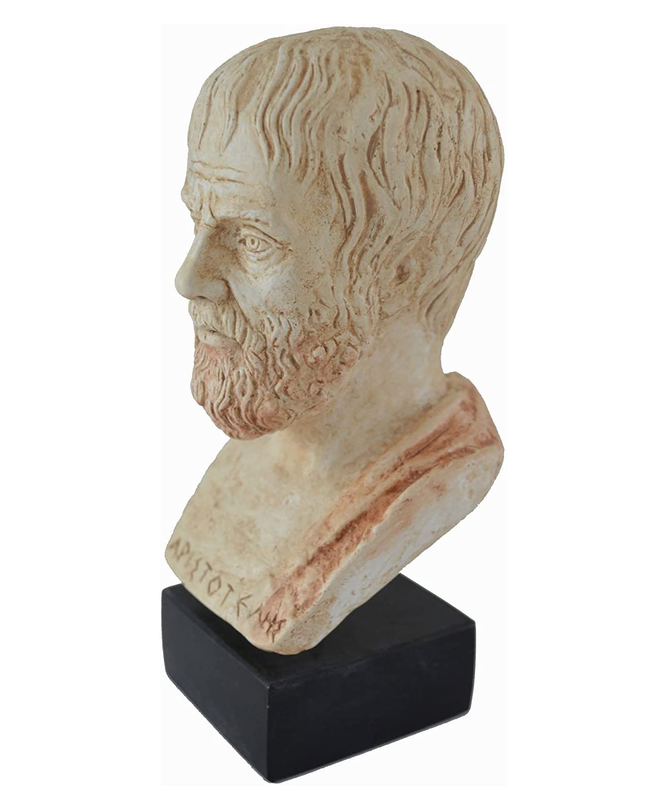 Estia Creations Aristotele Scultura Antico Greco Filosofo Museo Riproduzione Busto
