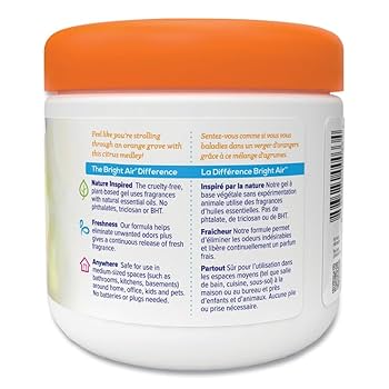 Amazon.com: BRIGHT Air BRI 900013 14oz Super Odor Eliminator