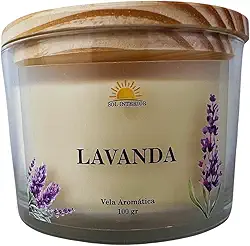 Vela Aromática Artesanal, 9 Fragrâncias Disponíveis, Baunilha, Capim Limão, Lavanda, Bamboo, Alecrim (Lavanda)