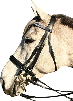 Saddles World Fancy Leather White Two Center Line Pearl with Clear Crystals Browband Cob, Black