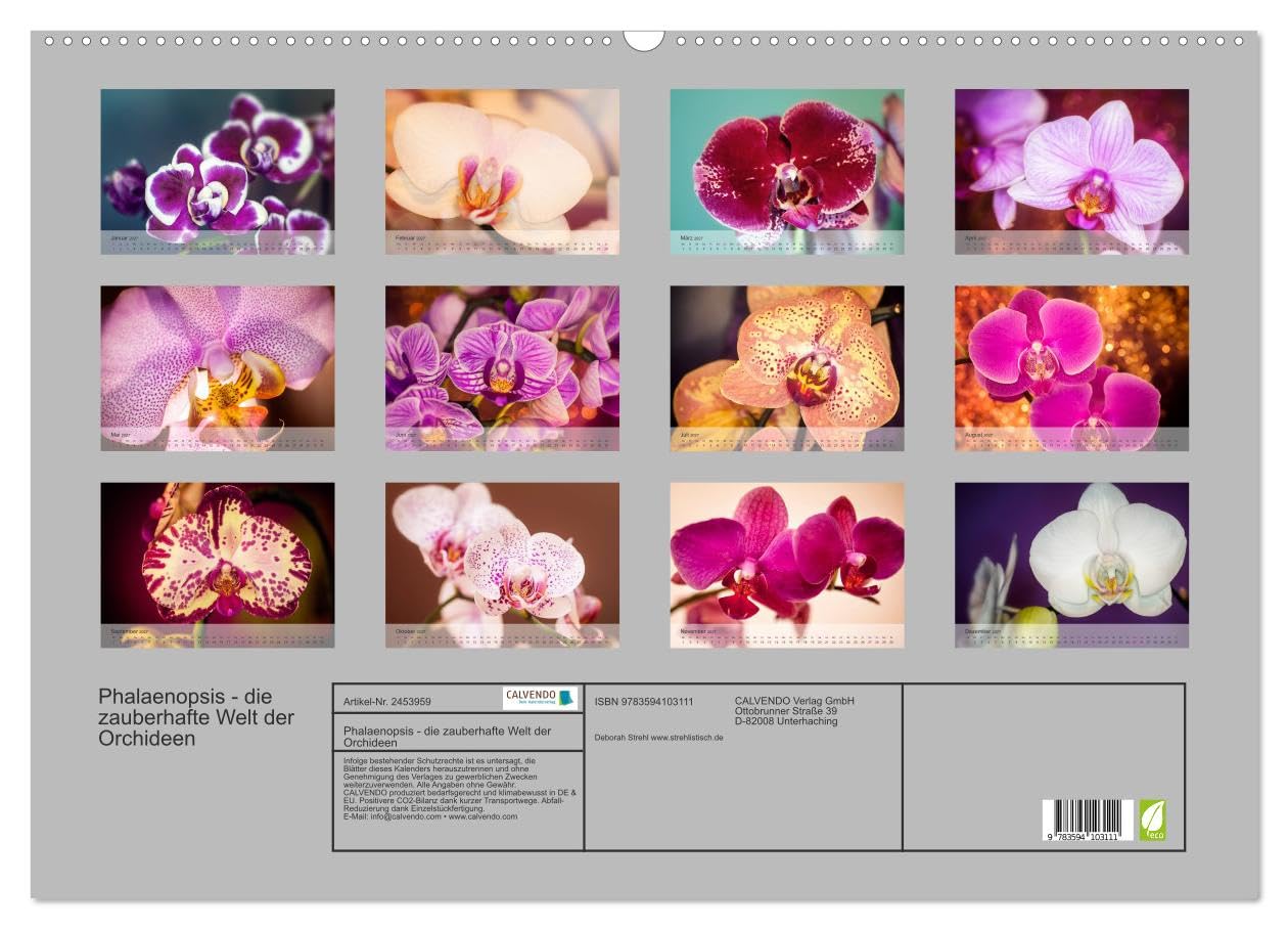 CALVENDO - Phalaenopsis - die zauberhafte Welt der Orchideen (Wandkalender 2027 DIN A2 quer), Monatskalender: Eine kleine zauberhafte Auswahl meiner Orchideen-Familie.
