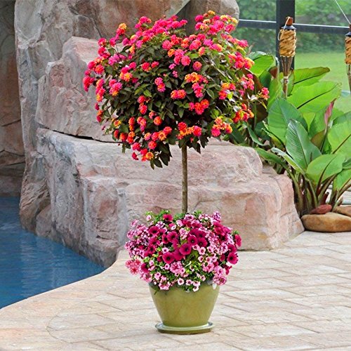 musselin bambus Bambus Musselin Boho Meadow 3315 (Bio) VORBESTELLUNG – NH Stoffe