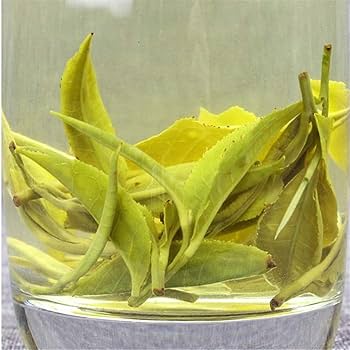 ミルク緑茶ページ 水出しクリーン茶（50g） | すべての商品 | FirstSelect