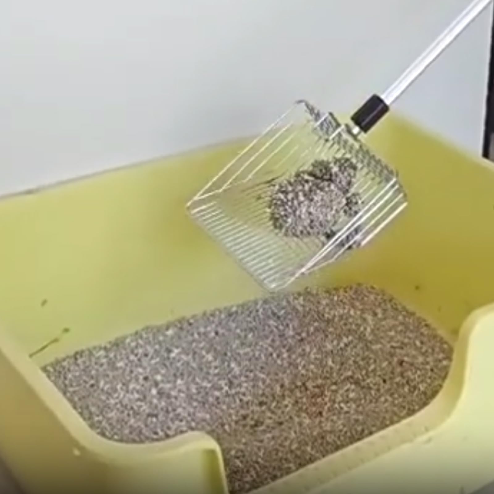 Pelle à Litière Pour Chat, Pelle à Litière Pour Chat Métal, 58cm -106cm Pelle à Litière à Long Manche Ajustable, Pelle à Crottes De Poulet, Amovible, Scoop De Nettoyage Pour Animaux De Compagnie