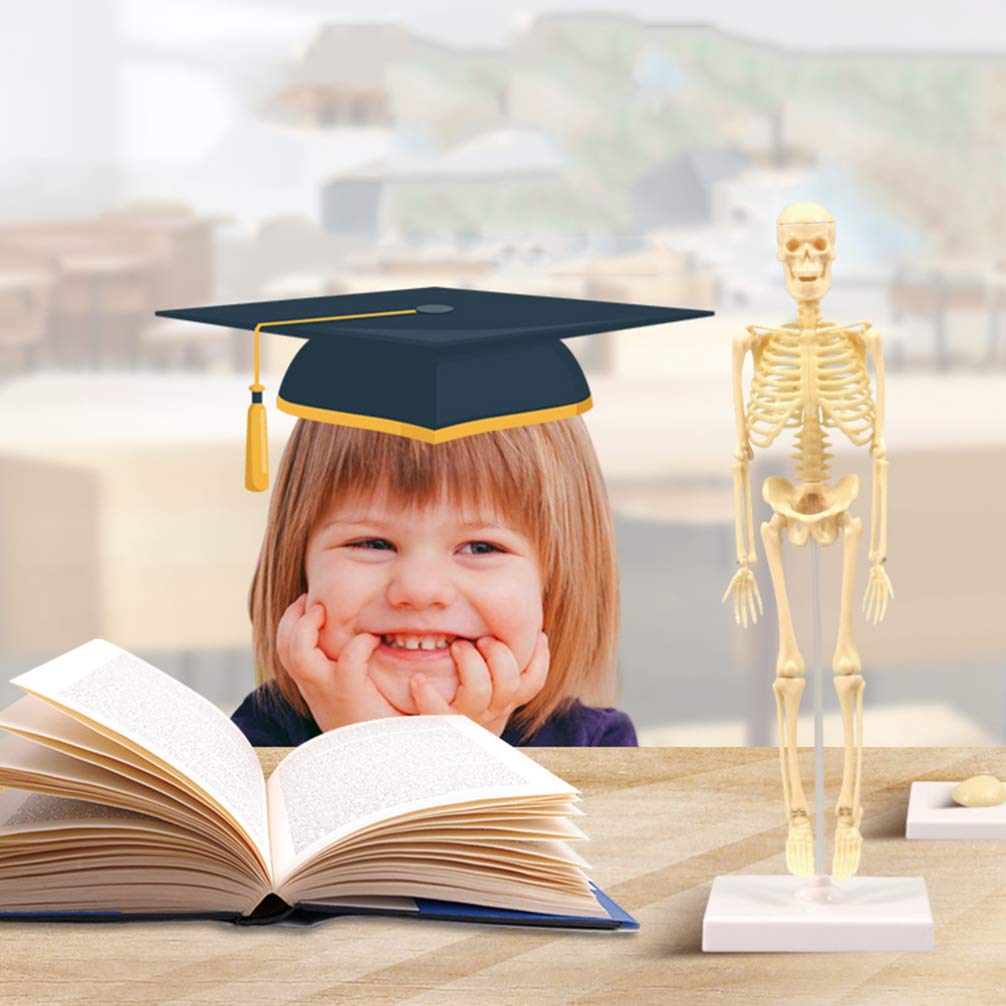 Buy TOYANDONA DIY Human Skeleton Mannequin Handmade Assembly Manikin