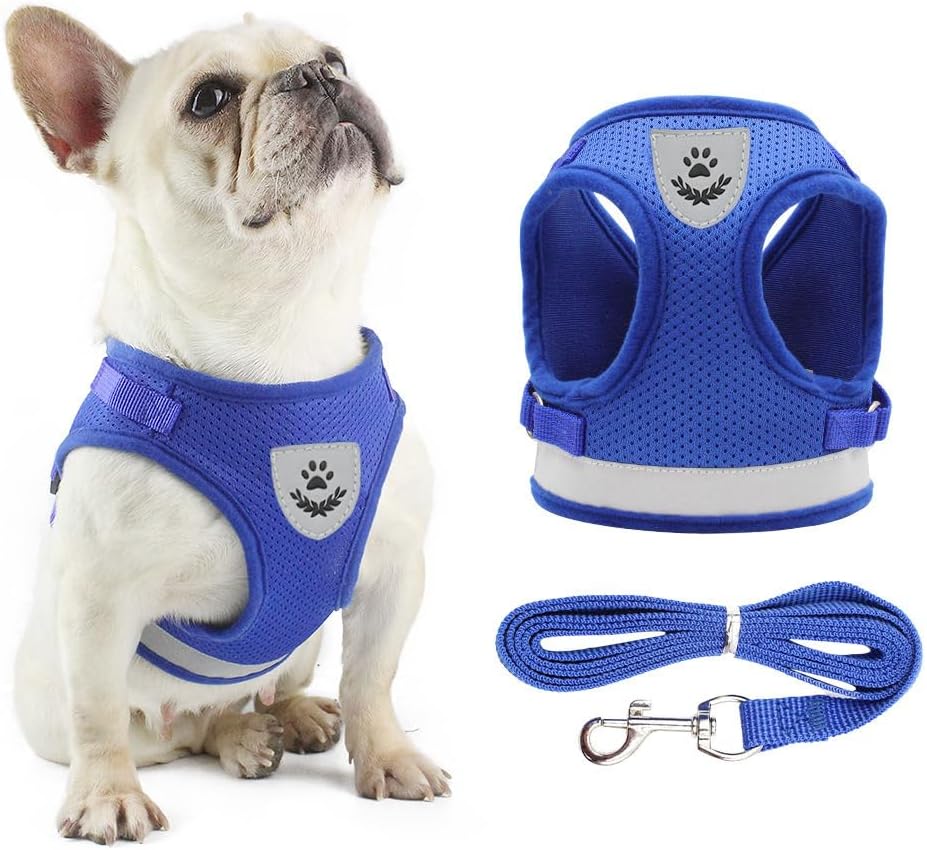 Anlitent Adjustable Small Dog Harness Dog Leash for Walking Jogging