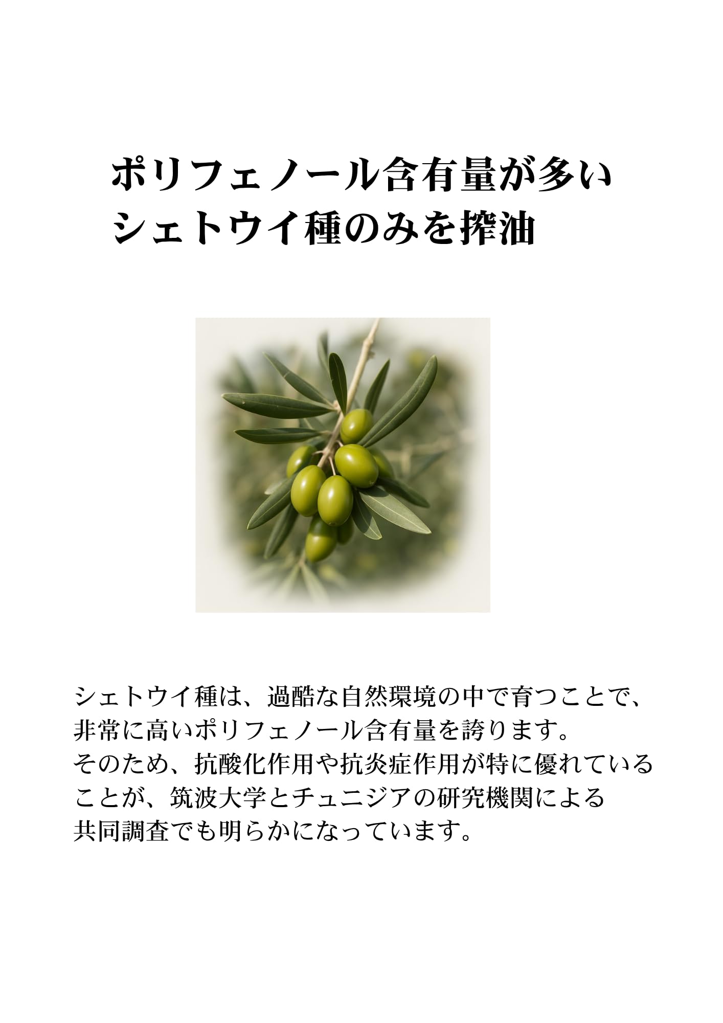 Amazon | HEDI TERRA プレミアムエキストラバージンオリーブオイル
