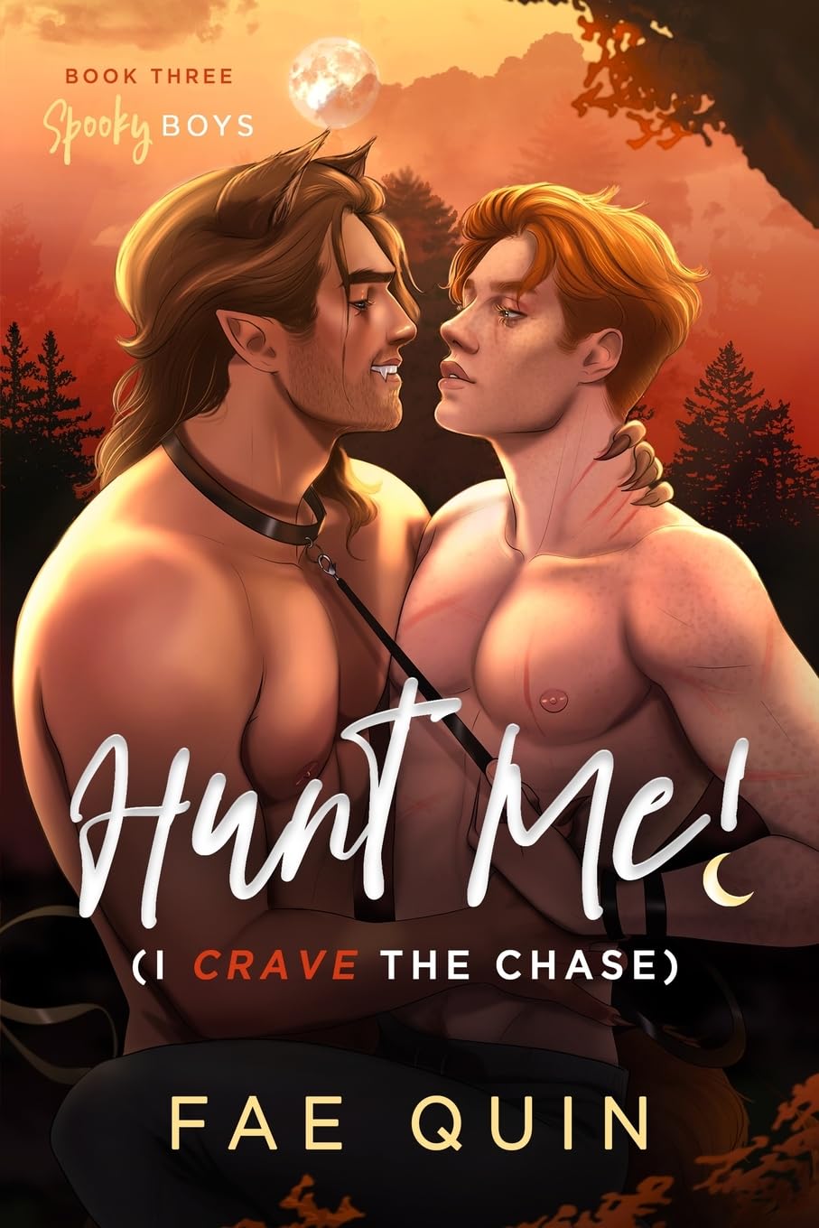 Hunt Me! (I Crave The Chase): MM Paranormal Werewolf Romance (Spooky Boys)