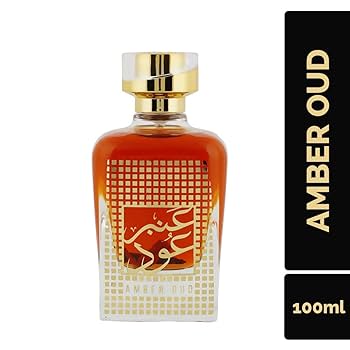 香水(ユニセックス) 100ml NUSUK AMBER OUD EDP 香水(ユニセックス) 100ml NUSUK AMBER OUD EDP Amazon.com