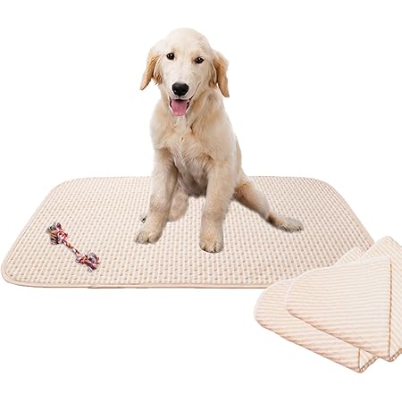 Amazon 犬用おしっこパッド 犬おしっこパッド おしっこマット 4層デザイン 繰り返す使用できる 犬の訓練パッド 多機能のドッグおしっこパッド 50 70cm Vantiyaus ベッドマット 通販 Amazon 犬用おしっこパッド 犬おしっこパッド おしっこマット 4層デザイン 繰り返す使用できる 犬の訓練パッド 多機能のドッグおしっこパッド 50 70cm Vantiyaus ベッドマット 通販