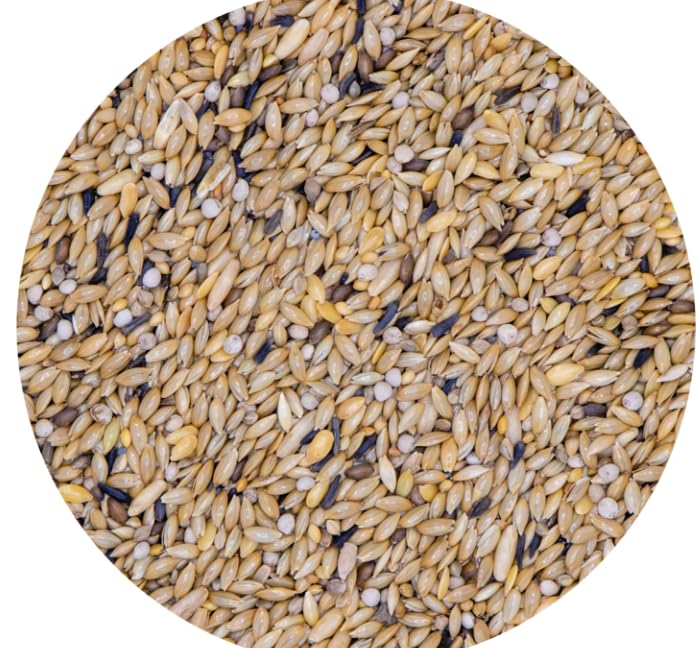Canarini 311 Vaesen Belgio, Miscela Premium per Canarini, Formula No OGM con Perilla e Semi Selezionati, 20 kg