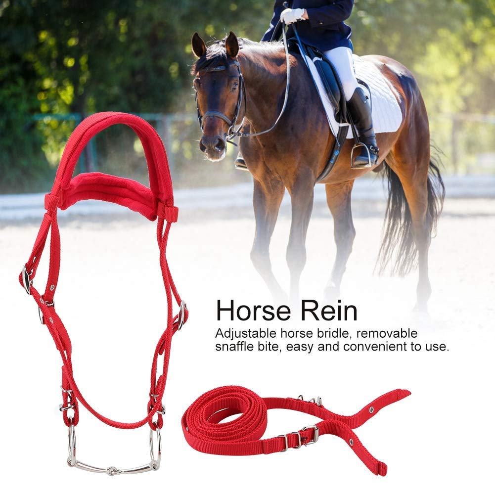 Cyrank Briglia per Cavallo, Briglia per Cavallo Rimovibile Rossa Regolabile Imbracatura per Redini Testiera per Cavallo Accessori Equestri per Cavallo con Morbido Cuscino