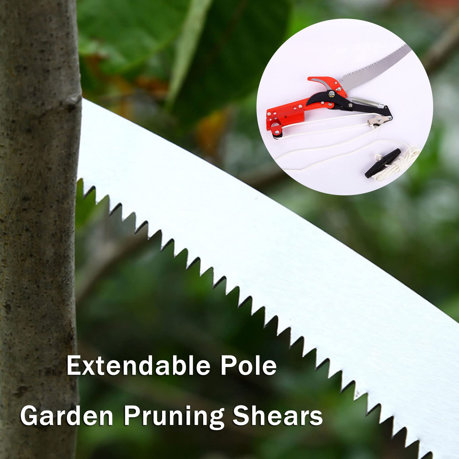 Forbice per Innesti e Potatura, Giardino Innesto Kit di Attrezzi per Efficiente Potatura e Innesto, con Lame di Ricambio, Forbici da Innesto per Albero da Frutto/Vigneto/Pianta/Ramo, Grafting Tool