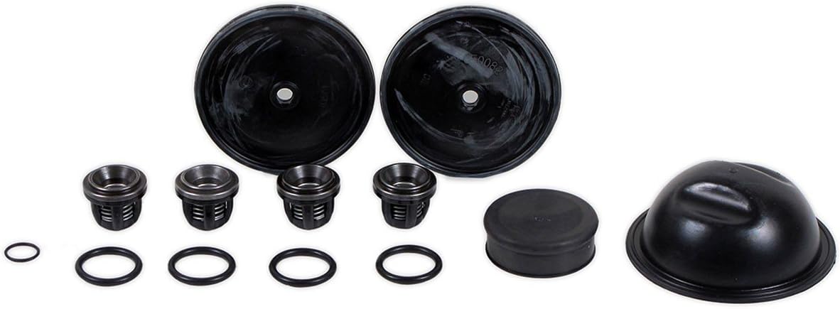 Rittenhouse Hypro D50 Diaphragm Pump Complete Repair Kit - D50REPAIRKIT